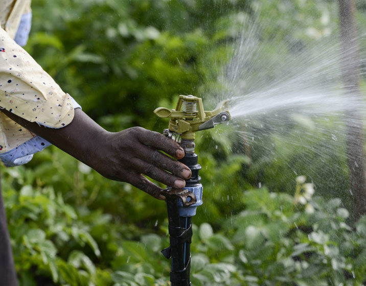 Irrigation